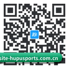 APP 安卓 二维码
